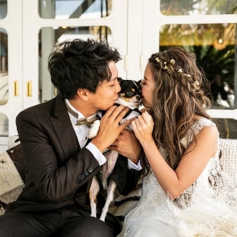 ＴＨＥ ＢＥＡＣＨのフェア画像