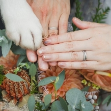 ｔｈｅ　Ｔｅｒｒａｃｅ（ザ テラス）:一軒家貸切でペットもふたりも安心のサポートプラン♪