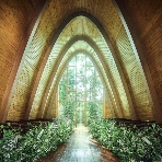 the Terrace(ザ テラス)のフェア画像