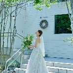 the Terrace(ザ テラス)のフェア画像