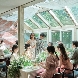 the Terrace(ザ テラス)のフェア画像
