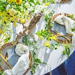 ノートルダム大阪ONEのフェア画像