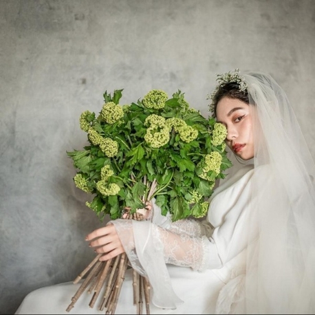 KITAHAMA W（キタハマダブリュー）：こだわりドレス見学×豪華フルコース試食フェア★BIG特典