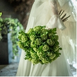 KITAHAMA W（キタハマダブリュー）のブライダルフェア画像