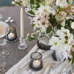 Wグランラセーレ岡山のフェア画像