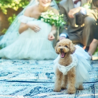 ザ・プレミアムレジデンス　ラグナヴェール広島:【withペット｜通年OK】大切な家族と迎える結婚式【最大68万円優待】:ペット婚