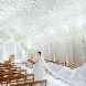 ニーズ名古屋丸の内 by T&G WEDDING(旧 トリフォーリア NAGOYA)のフェア画像