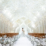 トリフォーリア NAGOYAのフェア画像