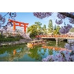 平安神宮会館：【-60分】見学のみ希望／式場比較されたい方へ週末合同プレ見学