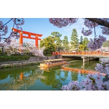 平安神宮会館:※空き枠僅か【2026年5月まで｜40名179万円】京の桜彩る春婚＊ベストシーズンプラン