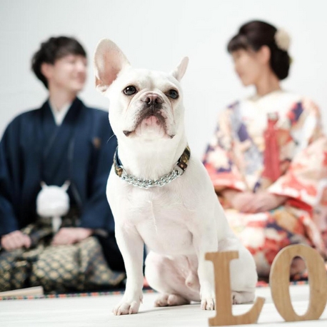 ＲｉＮ　ＳＱＵＡＲＥ（リン スクエア）：【愛犬・ペットと叶える感動WD】ペット婚演出体験×会場見学