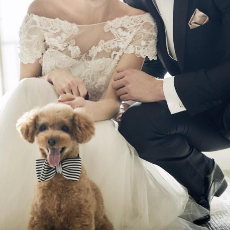 BLEU GRACE OSAKA（ブルーグレース大阪）：【ペットも一緒に】一軒家貸切だから叶う♪オリジナルW相談会