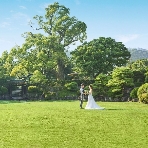 THE SORAKUEN (相楽園)のフェア画像