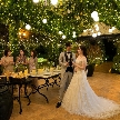 結婚式場:ガーデンリニューアル完成!光きらめくイルミネーションフェア
