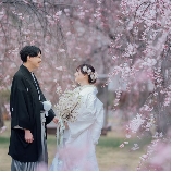 世界遺産・元離宮二条城のブライダルフェア画像