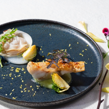 世界遺産・元離宮二条城：【和装体験×豪華試食付き】世界遺産・二条城で過ごす特別な1日