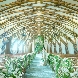ラソールガーデン熊本のフェア画像