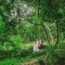 サンタ・アムール　エテルニテ　～森の中の小さなｗｅｄｄｉｎｇ～のフェア画像