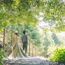 サンタ・アムール　エテルニテ　～森の中の小さなｗｅｄｄｉｎｇ～のフェア画像