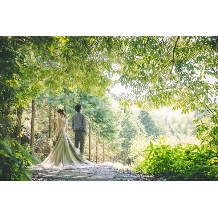 サンタ・アムール　エテルニテ　～森の中の小さなｗｅｄｄｉｎｇ～のフェア画像