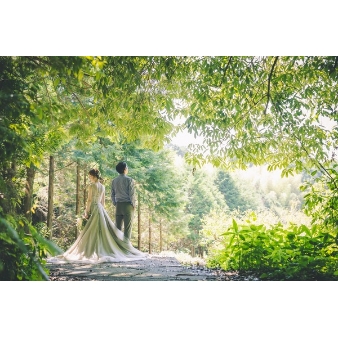 サンタ・アムール　エテルニテ　～森の中の小さなｗｅｄｄｉｎｇ～のフェア画像