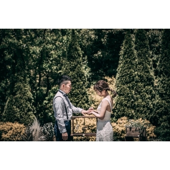 サンタ・アムール エテルニテ ~森の中の小さなwedding~のフェア画像