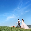 竹田城　城下町　ホテル　ＥＮ：【ワンちゃんと一緒に結婚式を叶える】ペットウェディング相談会