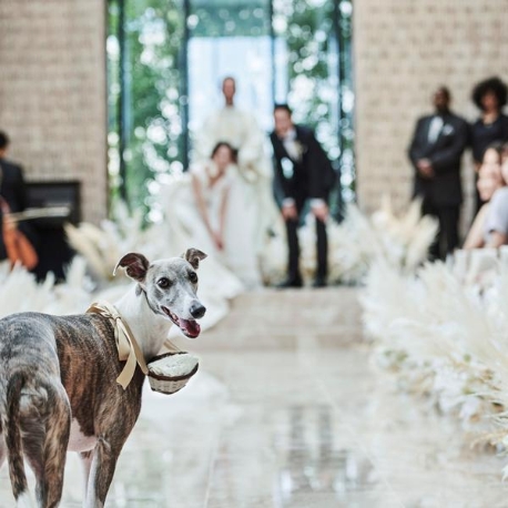 キンプトン新宿東京：【挙式も披露宴もペットOK】満足度◎贅沢を愉しむ上質ホテル体験