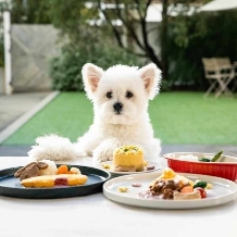 ＷＥＥＫＥＮＤ　ＨＯＵＳＥ &nbsp;（ウィークエンドハウス）:＜ゼクシィ限定＊ペット婚プラン誕生＞大切な家族と過ごす特別なパーティ*ワンちゃんフルコースもご用意♪