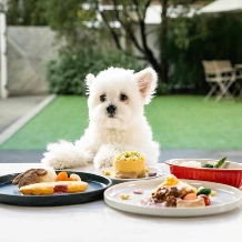 ＷＥＥＫＥＮＤ　ＨＯＵＳＥ &nbsp;（ウィークエンドハウス）:＜ゼクシィ限定＊ペット婚プラン誕生＞大切な家族と過ごす特別なパーティ*ワンちゃんフルコースもご用意♪