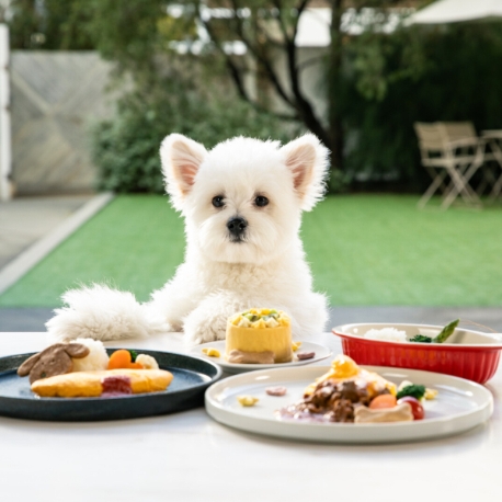 ＷＥＥＫＥＮＤ　ＨＯＵＳＥ &nbsp;（ウィークエンドハウス）：＼ペット婚相談会♪／大切な家族と過ごすプライベートWD