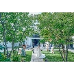 EYOHAKU －ヨハク－のフェア画像