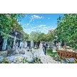 EYOHAKU -ヨハク-:ドレスサロン見学付´-最大40万優待&試食*姉妹店と比較見学OK