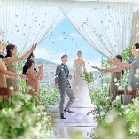 ATOLL TERRASSE 鴨川（アトールテラスカモガワ）のブライダルフェア画像