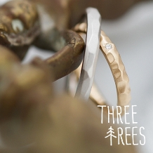 ＴＨＲＥＥ ＴＲＥＥＳ（スリーツリーズ）:THREE TREES 手作り結婚指輪　「出張サービス！」