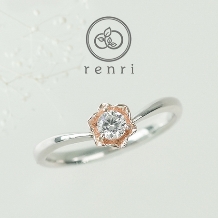 renri:【花こよみ】水仙