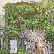ＯＩＳＥＡＵ　ＢＬＥＵ（オワゾブルー）のフェア画像