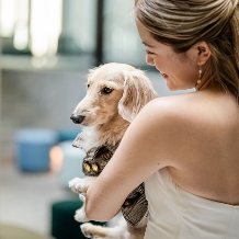 W大阪:【愛犬】と過ごす特別なウエディング【WED YOUR WAY, the P.A.W. WAY】