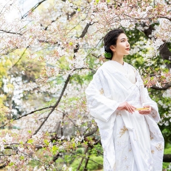 東郷神社・ルアール東郷:【2027年3月～5月】　人気シーズン早割Springプラン