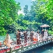 東郷神社・ルアール東郷のフェア画像