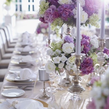 セントアクアチャペル赤坂：ペットフレンドリー★愛犬と一緒に過ごすW