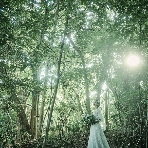 高宮庭園茶寮のフェア画像