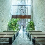 Ｌ２１２６のブライダルフェア画像