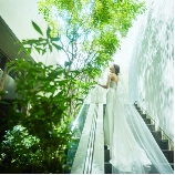 Ｌ２１２６のブライダルフェア画像