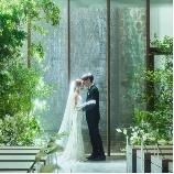 Ｌ２１２６のブライダルフェア画像