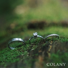 ブライダル専門店　ＫＩＯＲＩ　ＤＩＡＭＯＮＤ:生涯、毎日つけられる指輪【COLANY】マリッジ/セットリング「ファンゴ！」