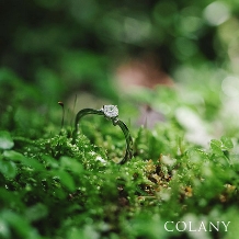 安心して毎日つけられる指輪　COLANY　エンゲージリング「バラ」