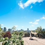 Central Terrace TOKYOのフェア画像