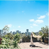 Central Terrace TOKYOのブライダルフェア画像