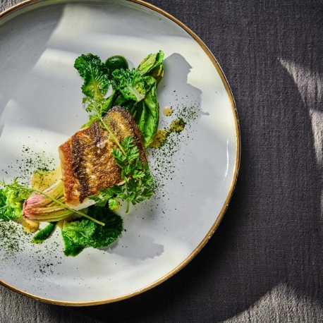 Central Terrace TOKYO：《木曜限定》国産牛5品コース試食×表参道一望テラスで花嫁体験